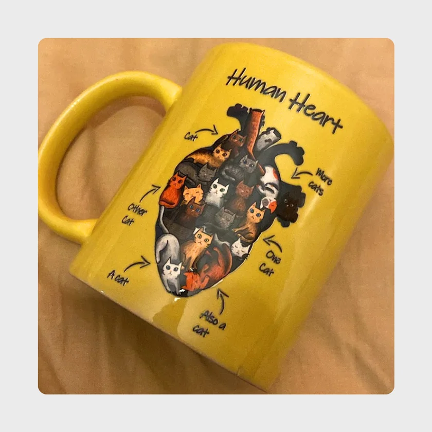 DTF por metros para rigidos