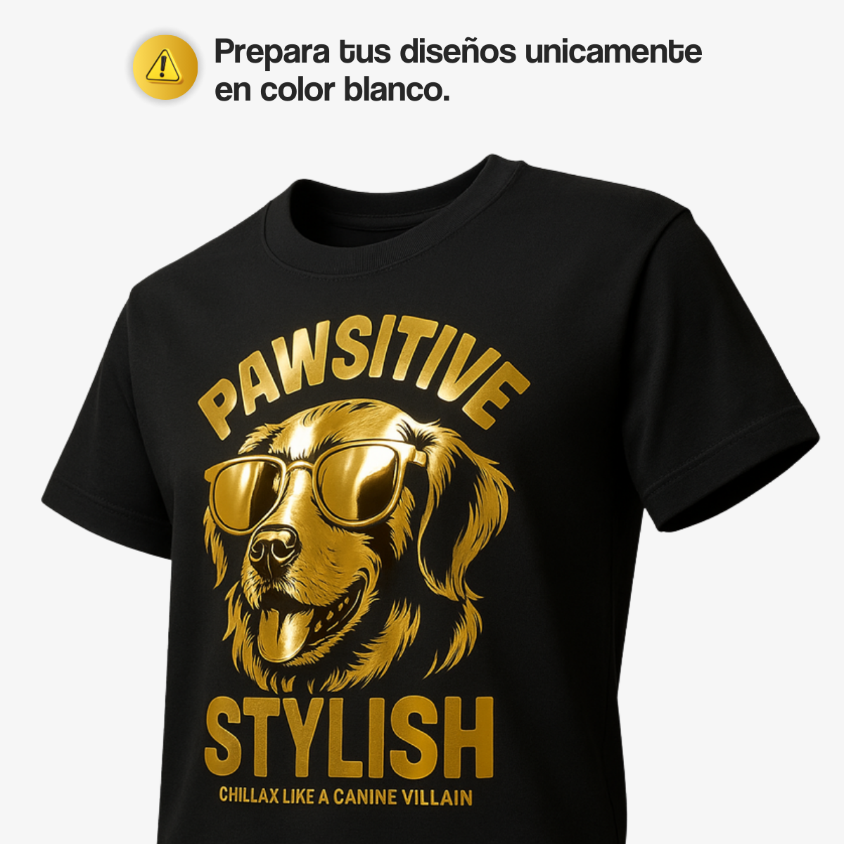 DTF Páginas de producto (1)