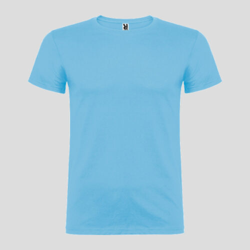 Camiseta Beagle CA6554