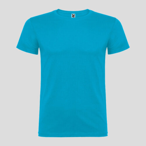 Camiseta Beagle CA6554